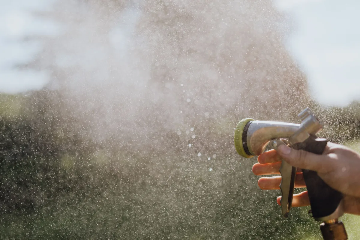 beneficial nematodes lawn treatment