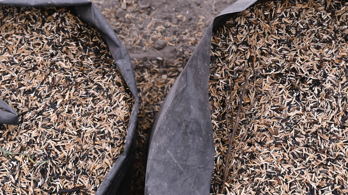 Bermuda grass seed bag