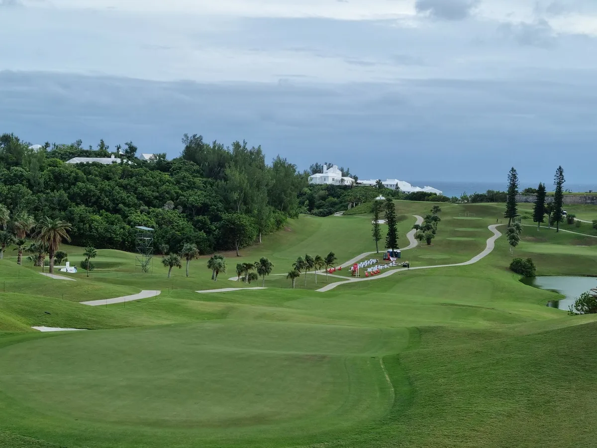 Bermuda Grass vs Zoysia Grass