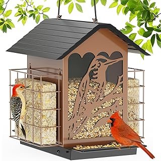 Birdream Bird Feeders Outdoors