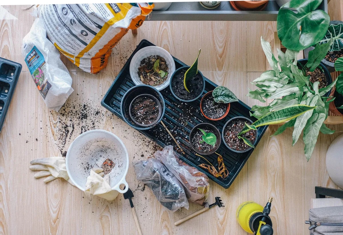 Bottom watering houseplant tray