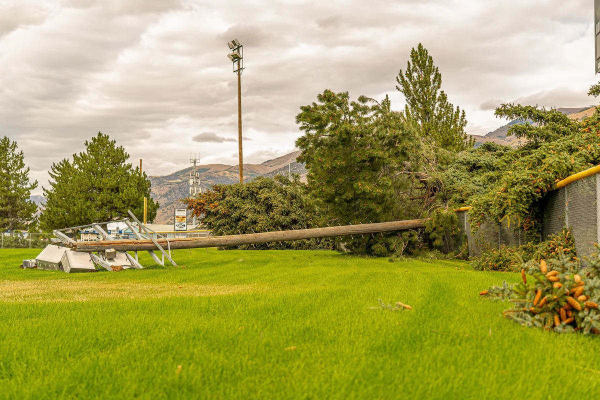 broken tree branch after winter storm
