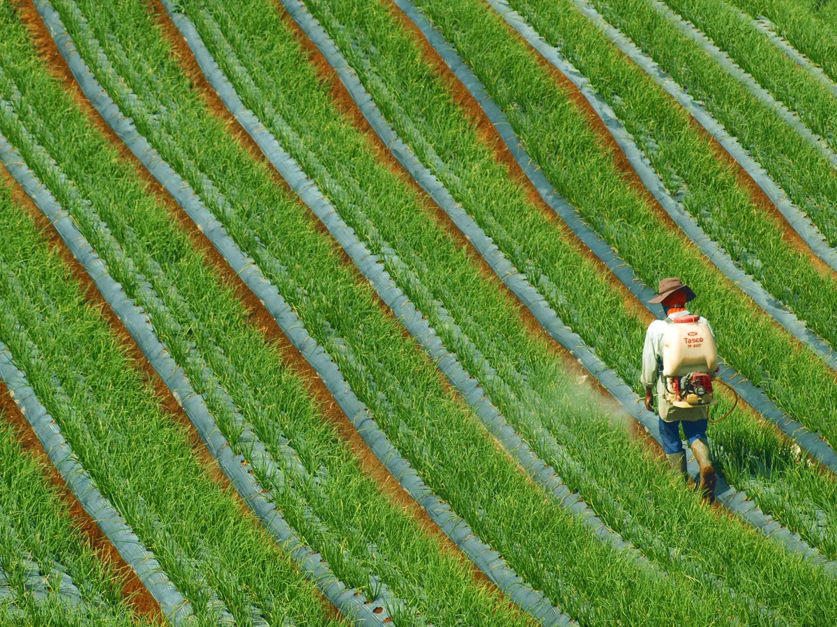 calibrated herbicide sprayer
