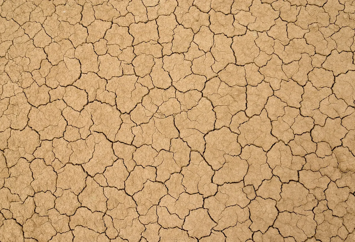 clay sandy silty soil comparison