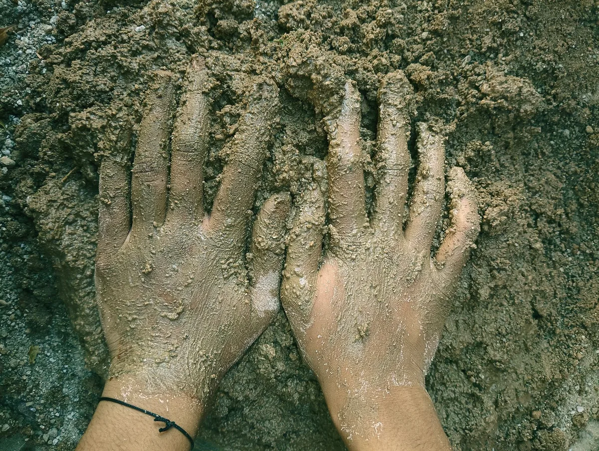 clay soil vs sandy soil