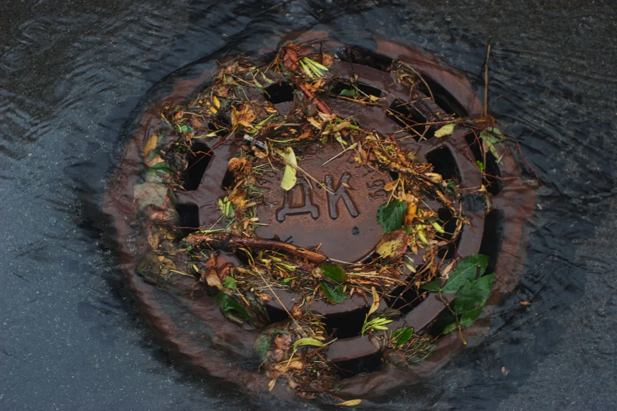 clogged gutter standing water