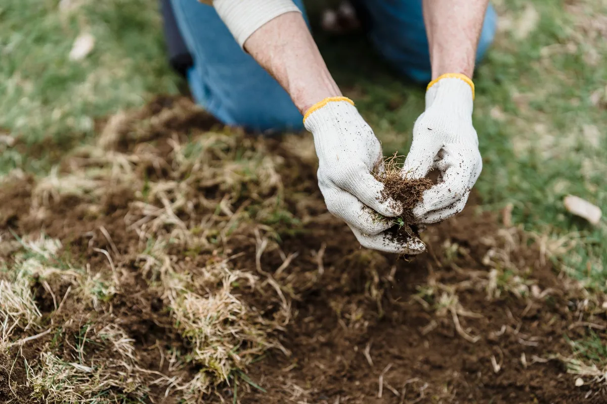 common landscape fabric mistakes