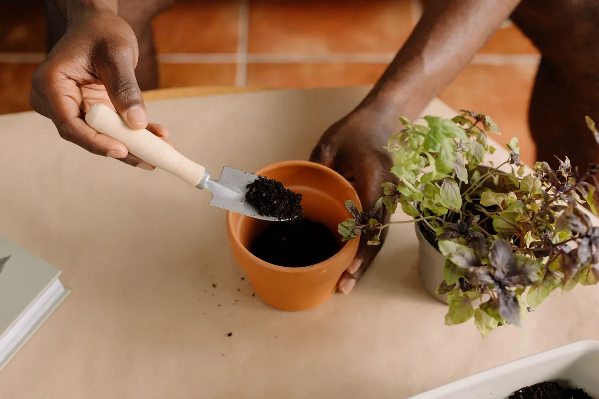 compost application