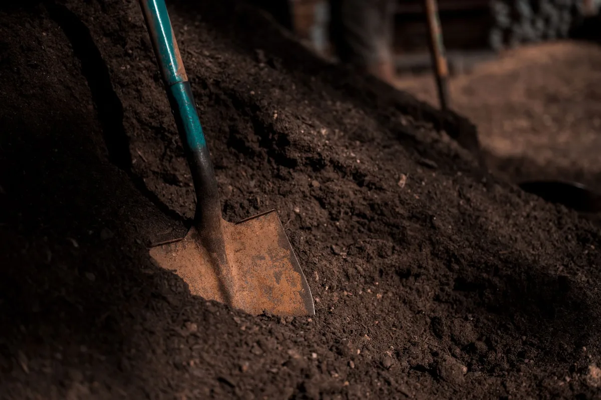 Compost vs Topsoil side by side