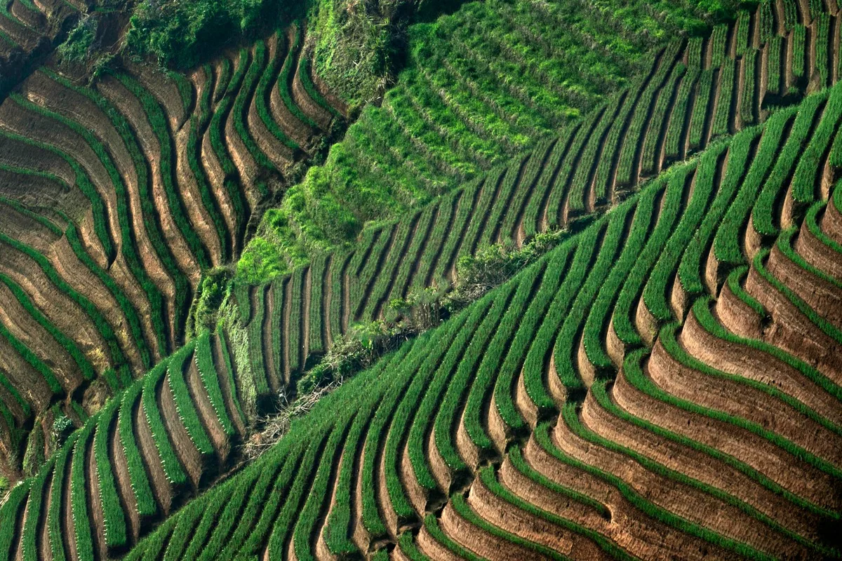contour terracing