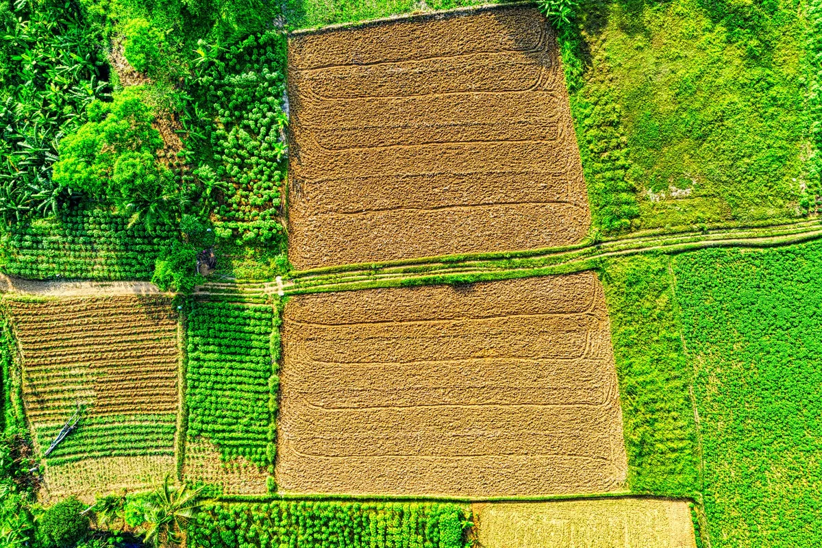 crop rotation plan