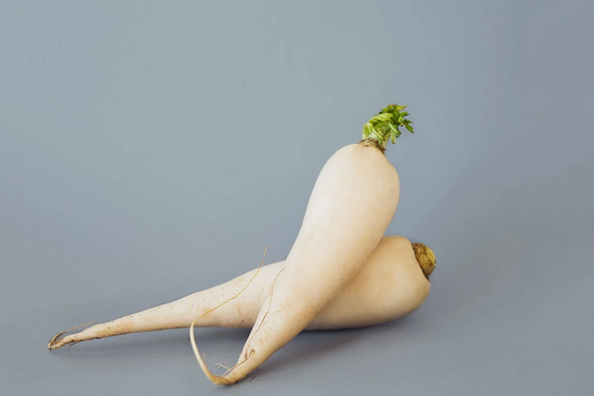 daikon radish