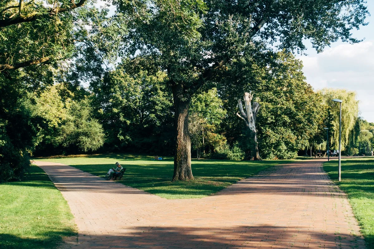 decision tree lawn grub control