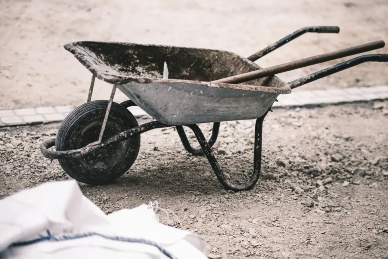 DIY Lawn Renovation Guide