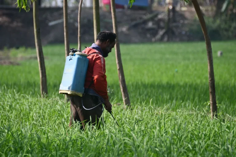DIY Mosquito Control for Large Yards