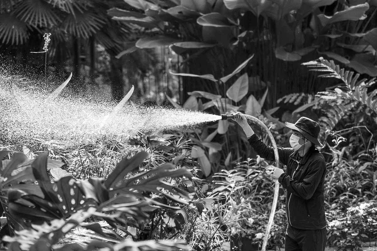 DIY yard pest sprayer