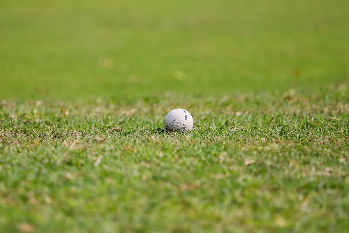 Dollar Spot lawn disease
