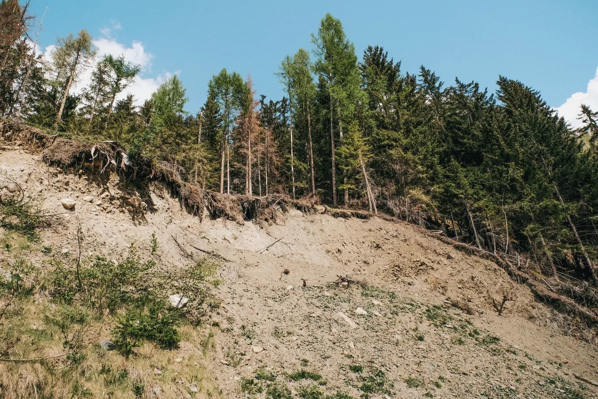 erosion control blanket