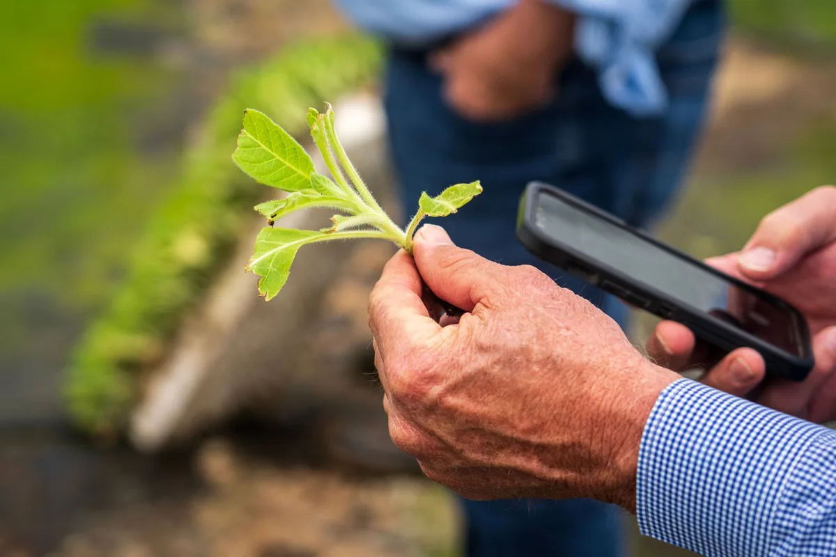 Field bioassay resistance monitoring insecticide