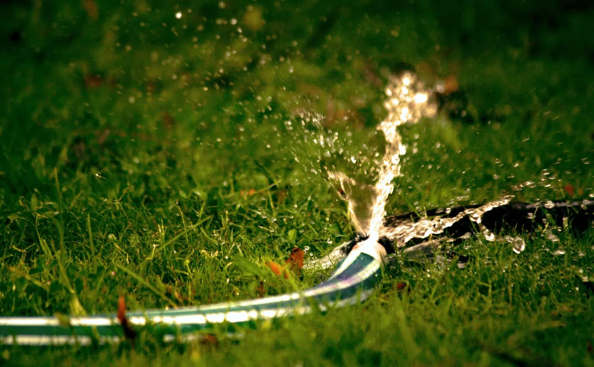 flushing lawn after fertilizer