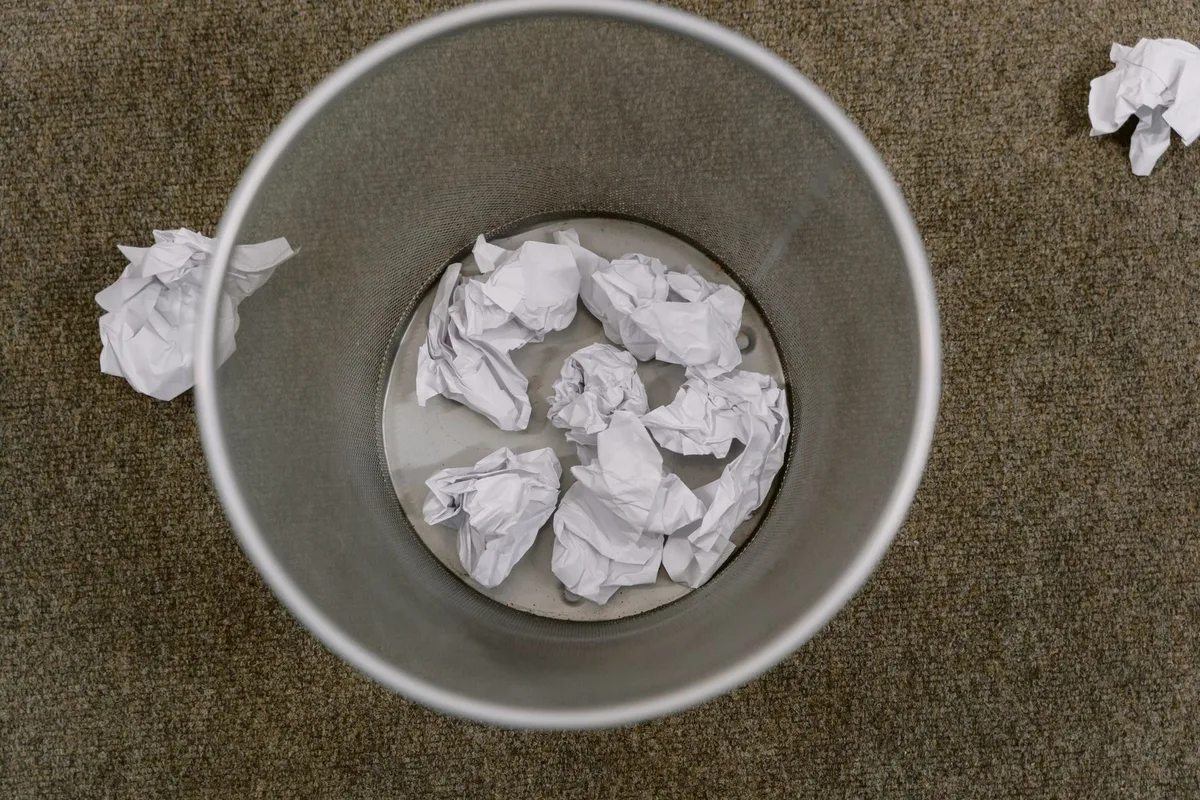 Garbage bin flies