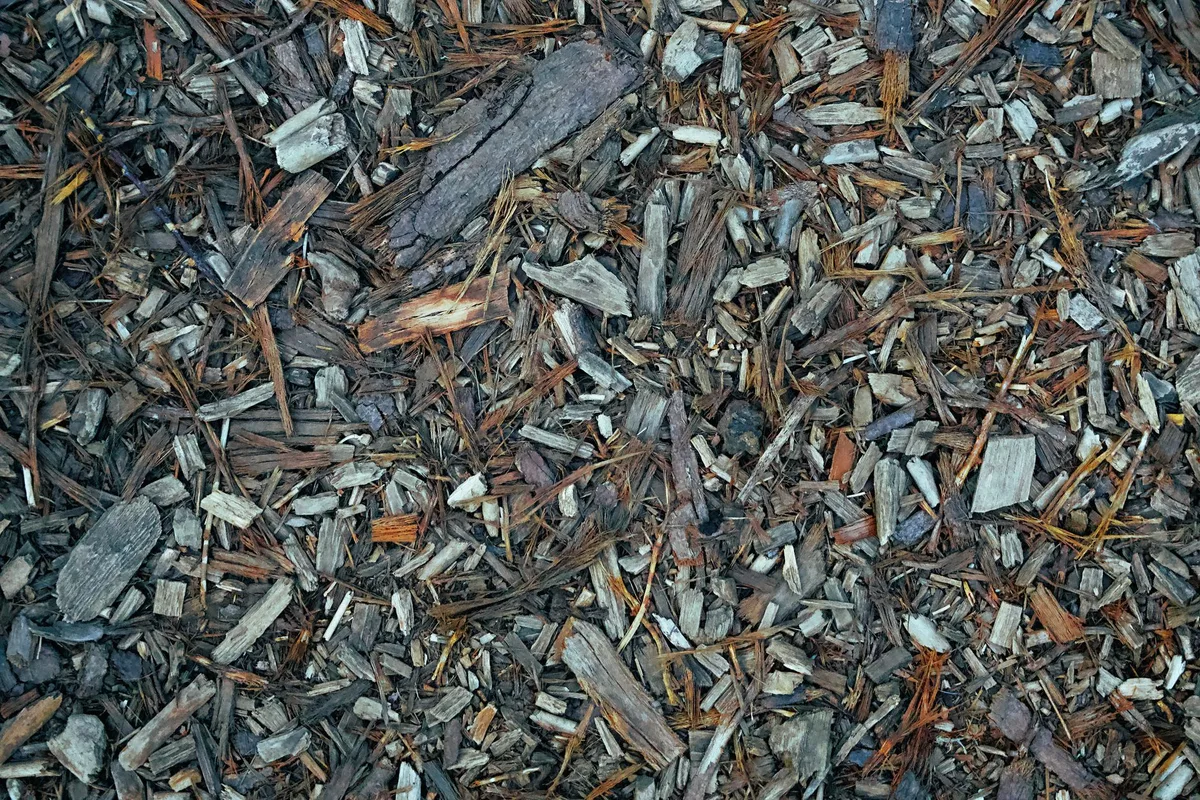 Grass clippings comparison mulched vs bagged