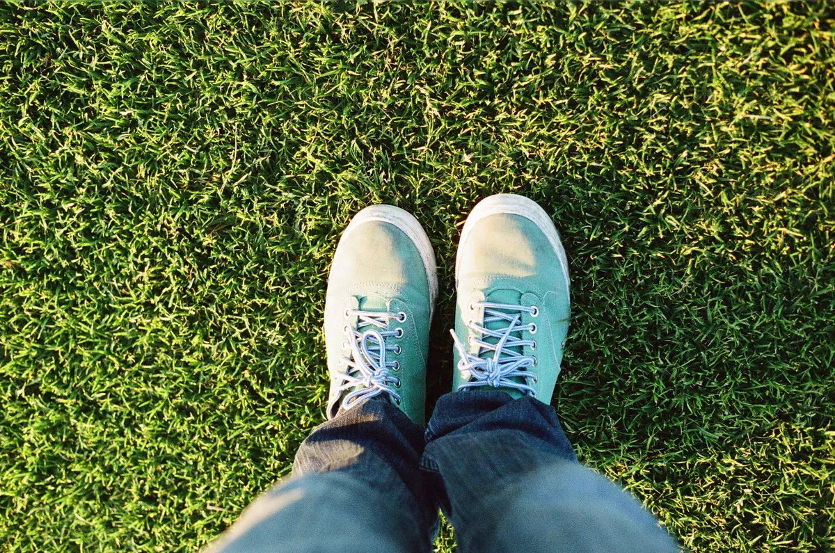 grass drought stress footprint test