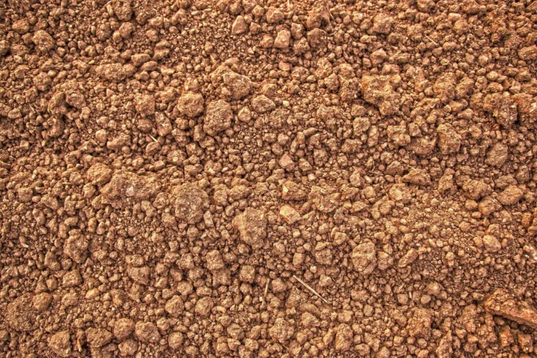 healthy crumbly soil structure