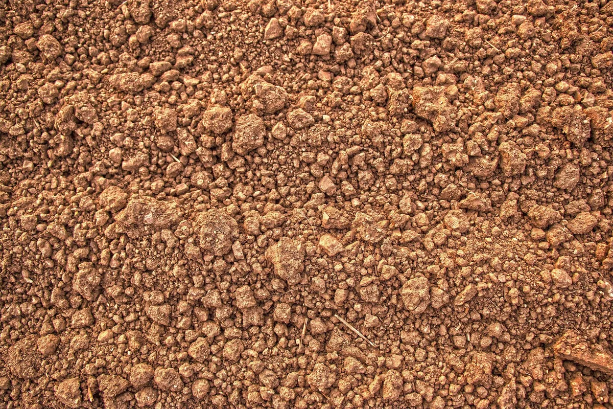 healthy crumbly soil structure