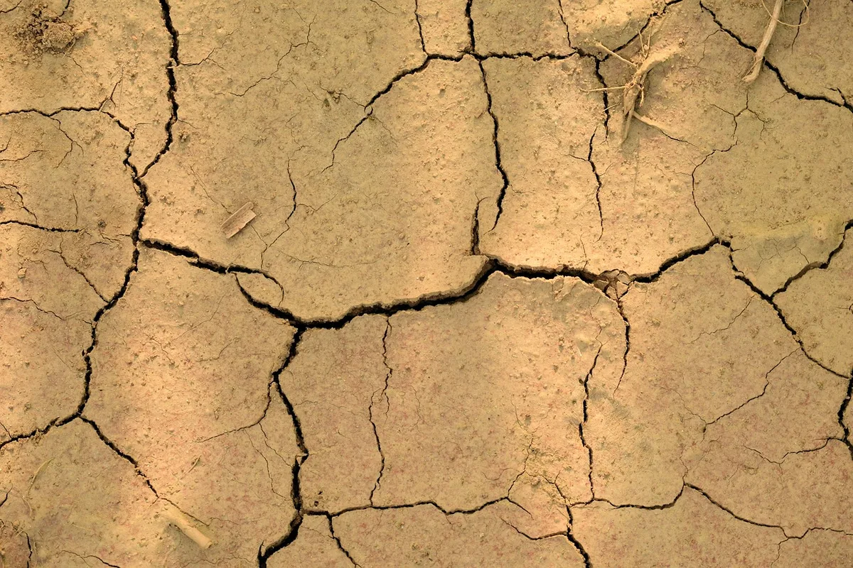 heavy clay soil close up