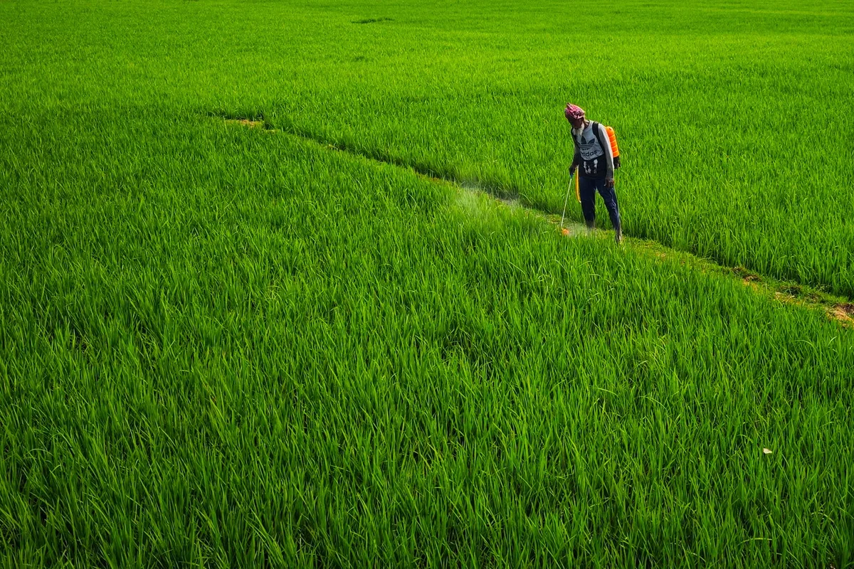 Herbicide cost comparison