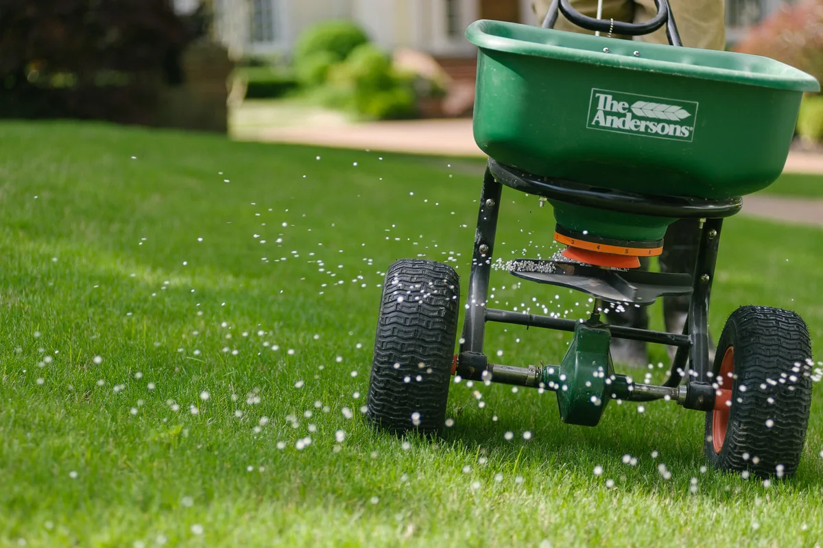 homeowner applying granular grub control