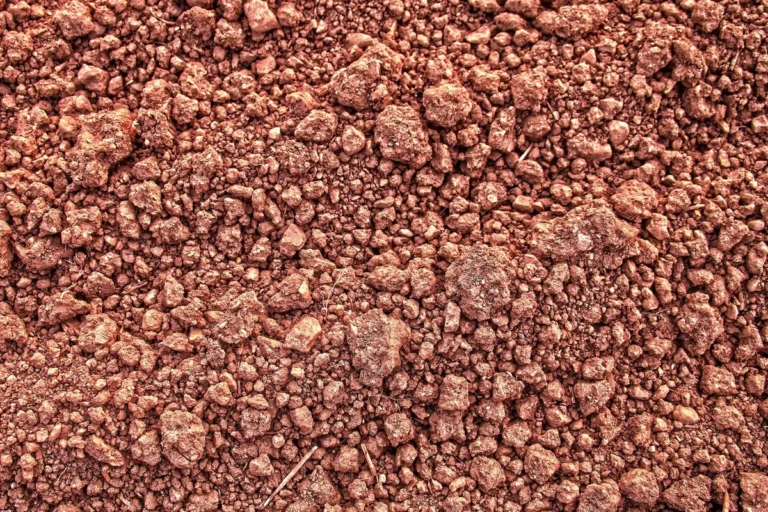 How Long Does Fertilizer Take to Work