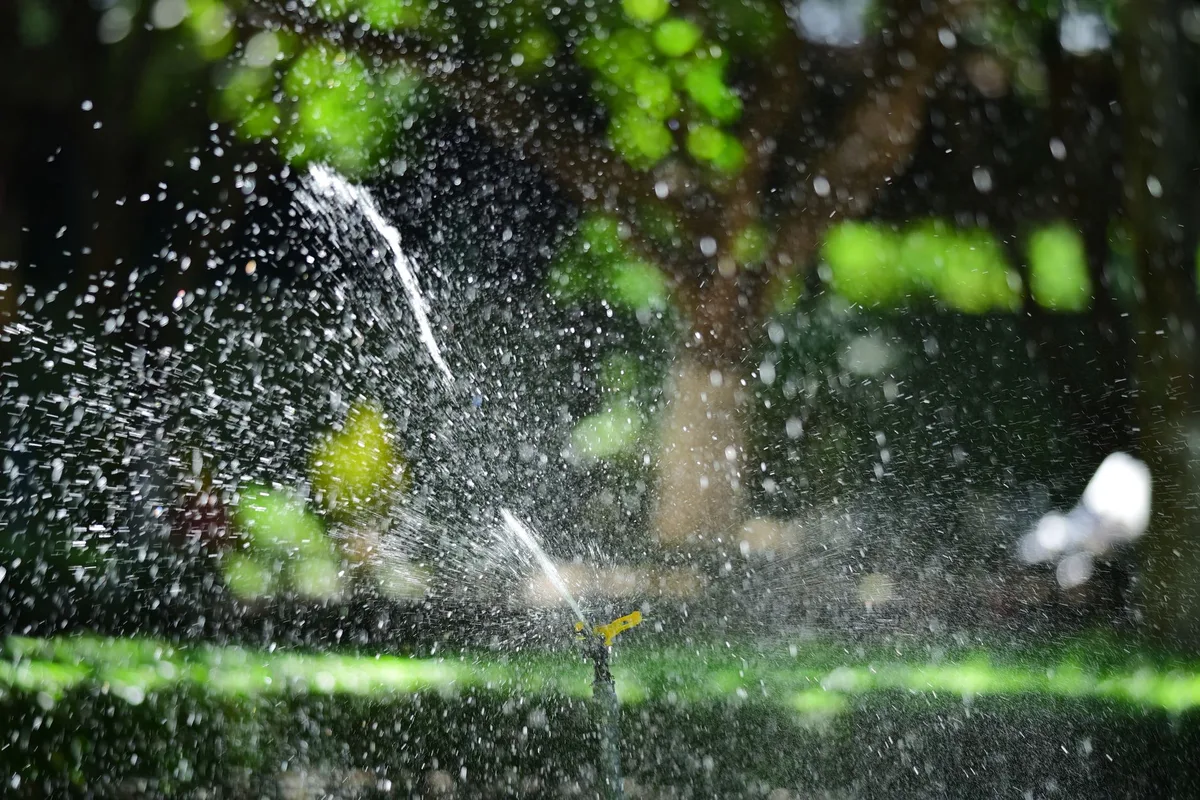 How Much Water Does Grass Need
