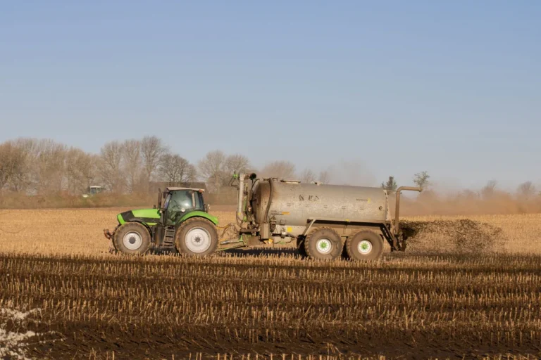 How Often Should Grass Be Fertilized