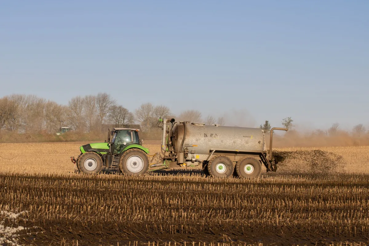 How Often Should Grass Be Fertilized