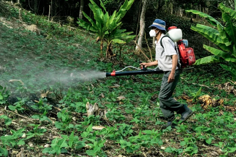 How Often Should You Spray for Mosquitoes