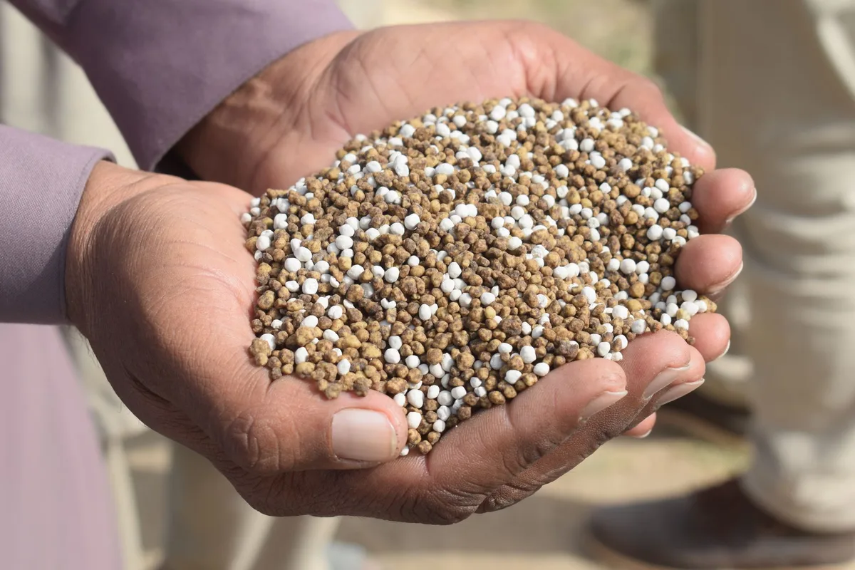 How to Choose the Right Fertilizer