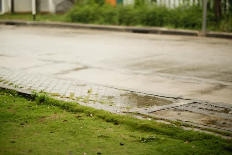 How to fix grass growth