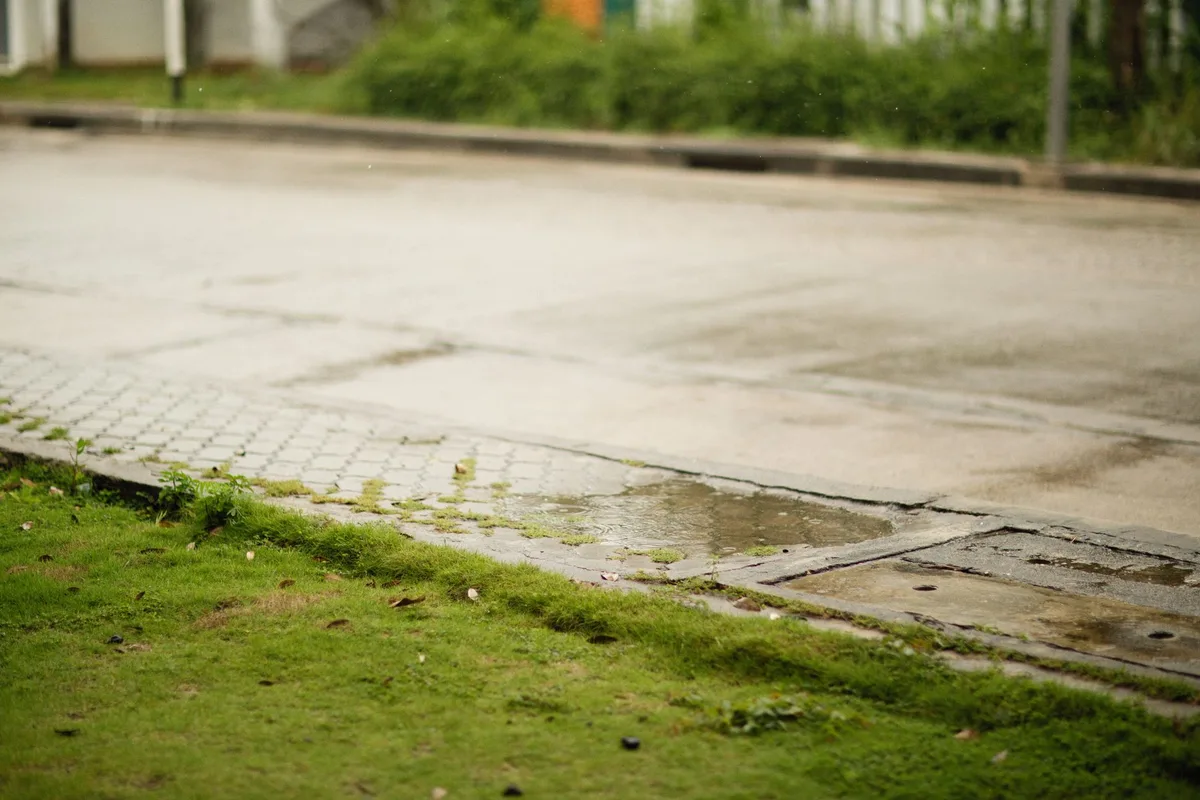 How to fix grass growth