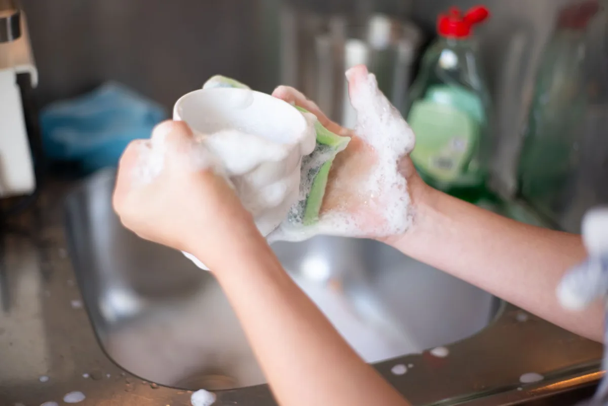 How to Get Rid of Gnats Naturally