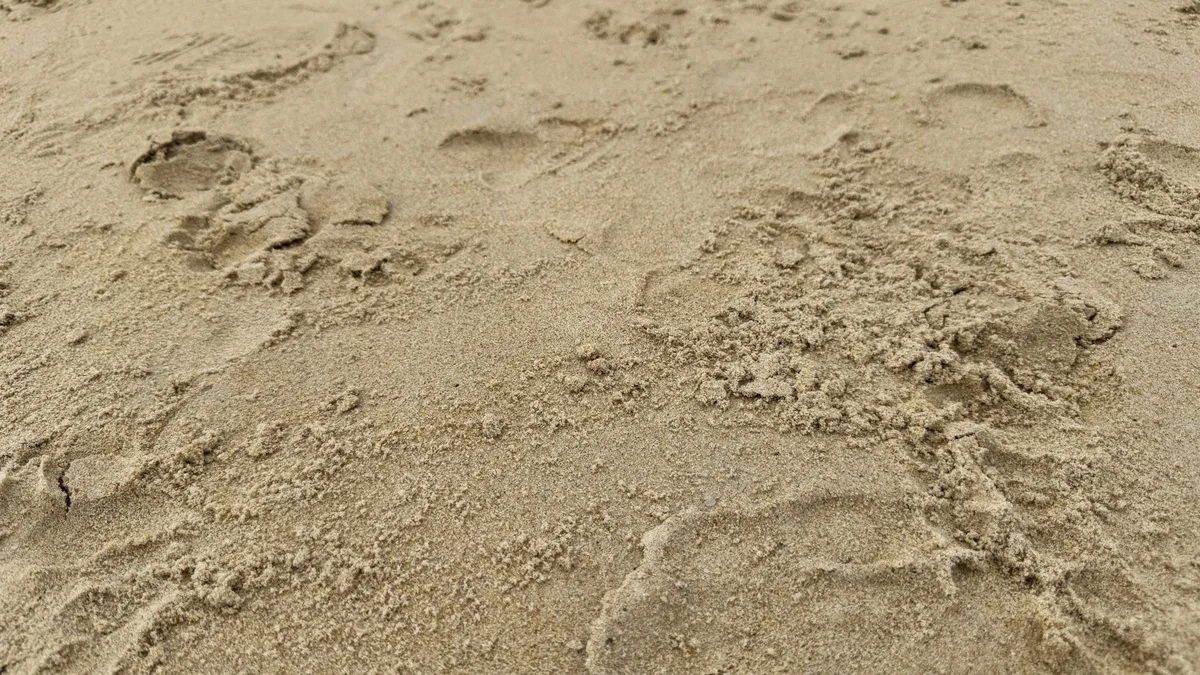 How to Grow Grass in Sandy Soil