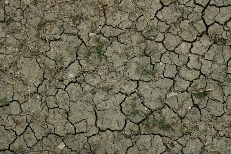 How to Improve Clay Soil for Grass