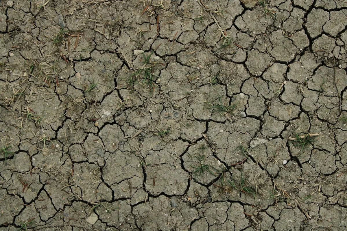 How to Improve Clay Soil for Grass