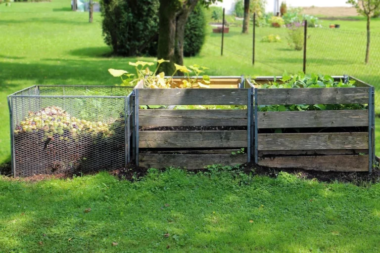 How to Improve Poor Soil