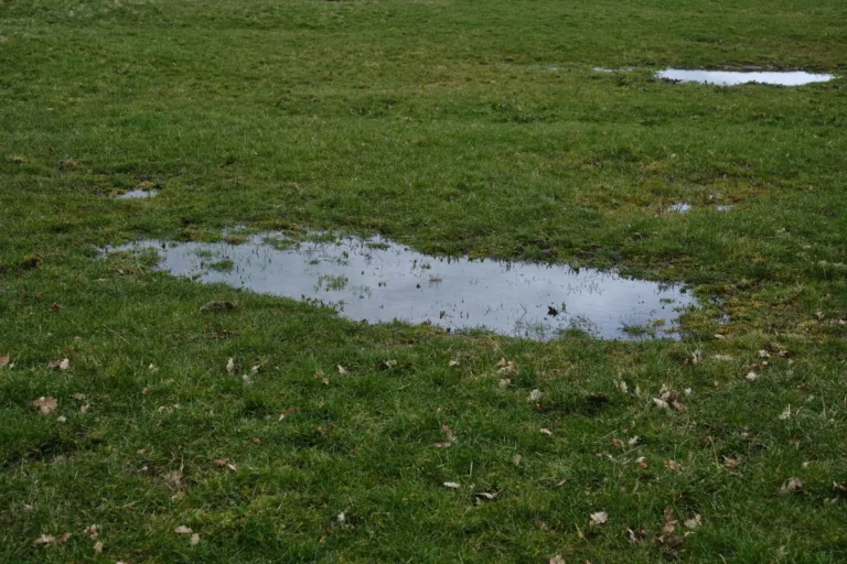 How to Improve Yard Drainage