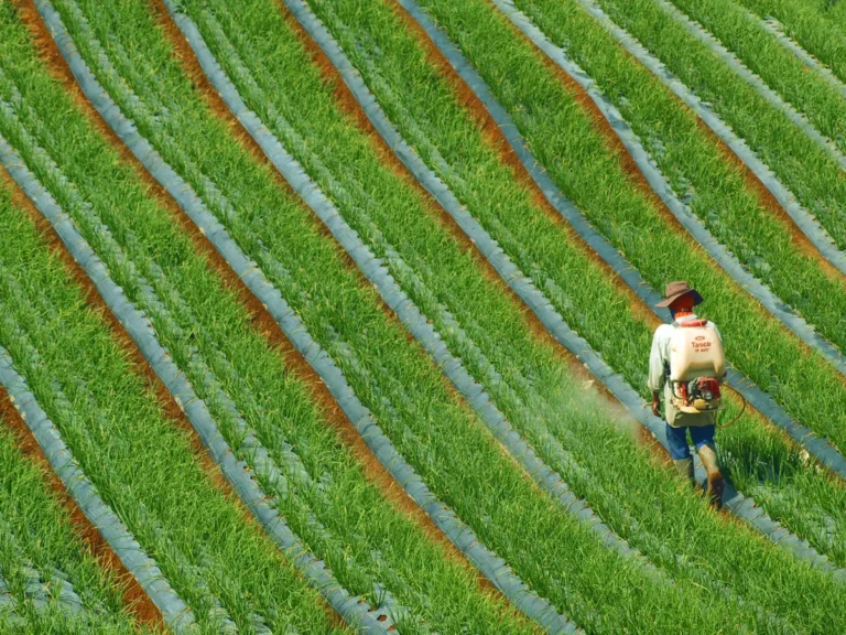 How to Kill Weeds Without Killing Grass