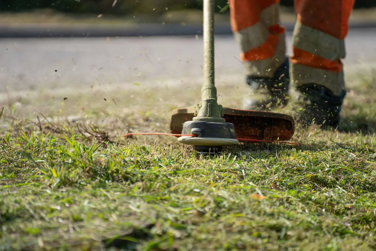 How to lawn aeration
