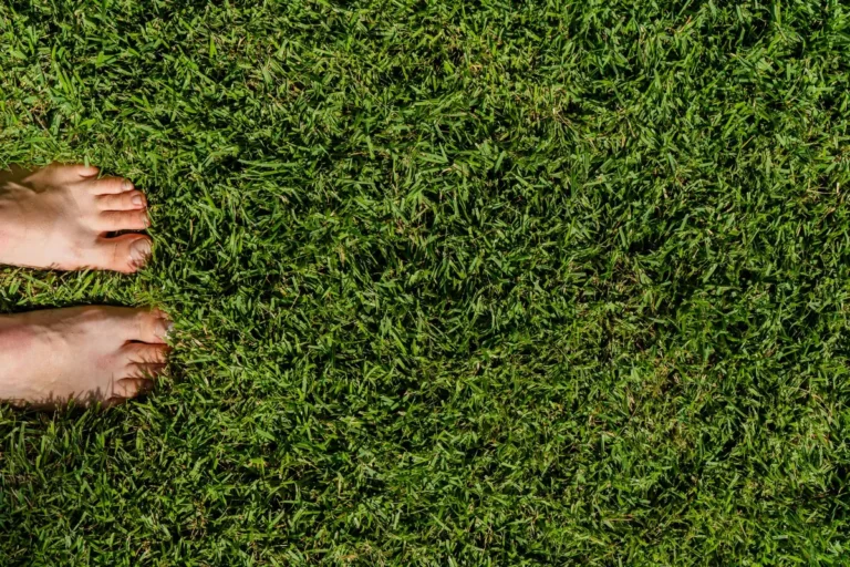 How to Prevent Heat Damage to Grass