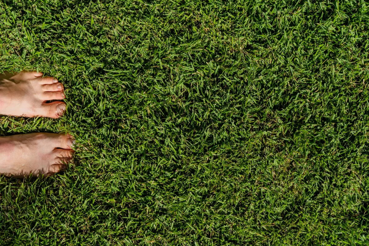 How to Prevent Heat Damage to Grass